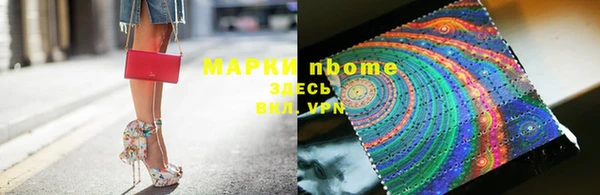 прущие грибы Белоозёрский