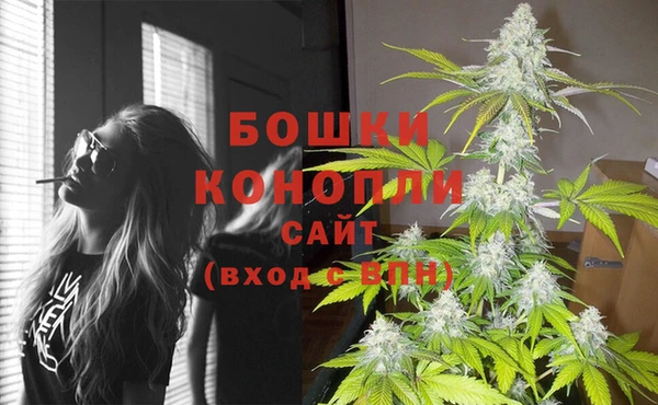 дживик Беломорск