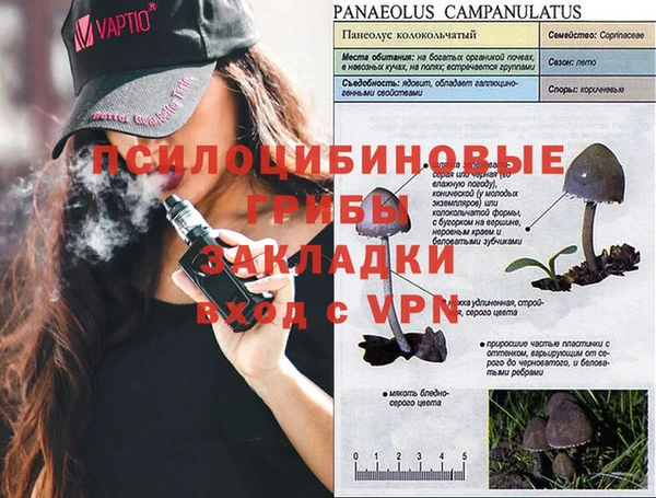 прущие грибы Белоозёрский