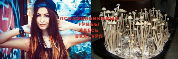 дживик Беломорск