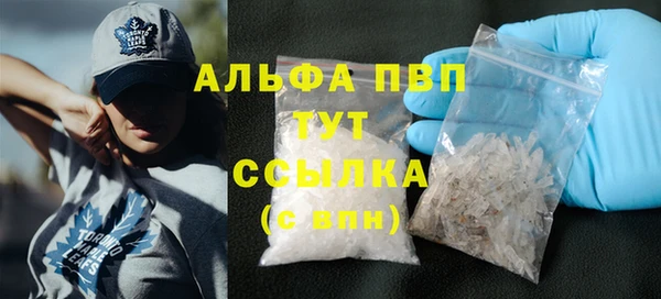 прущие грибы Белоозёрский
