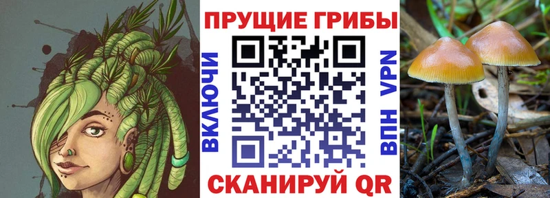 Галлюциногенные грибы мицелий  купить   Воскресенск 