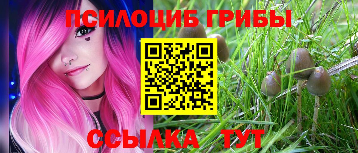 Псилоцибиновые грибы Cubensis  Воскресенск 