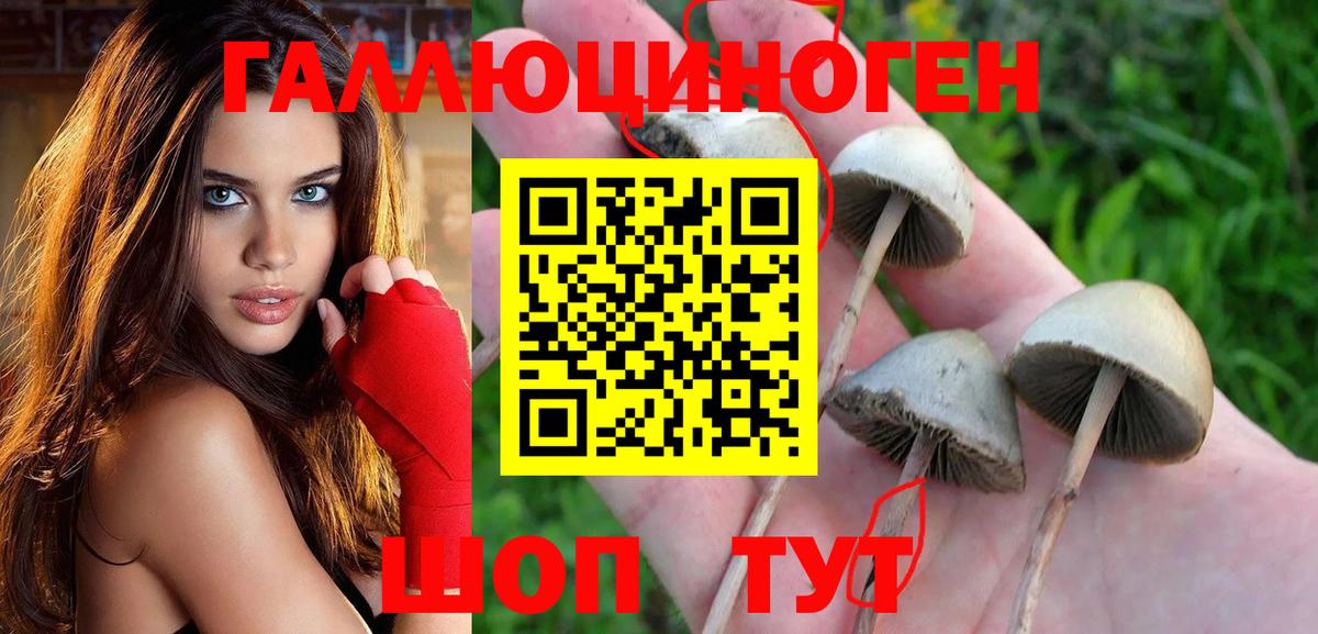 Галлюциногенные грибы мухоморы Воскресенск